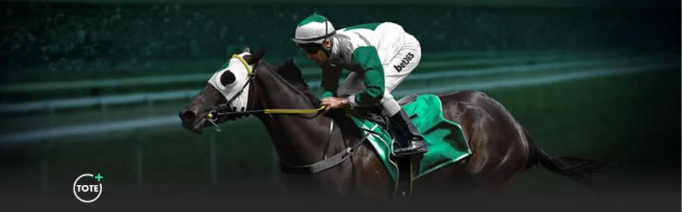 菲律宾亚细,安足球锦标,赛半决赛首,世界杯赛程,2026世界杯,比赛时间表,举办城市,赛事安排