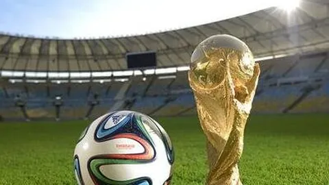 郑钦文东京网球公开赛再斩胜利，夺本赛季第三个冠军